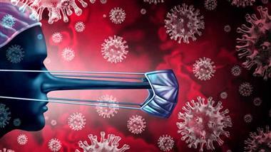 origin of coronavirus who